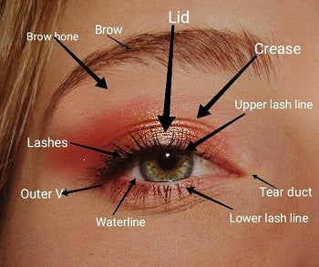 Makeup - Eye
